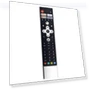 Voice Replacement Remote for Smart TV — Remote Controls, Remote Mall