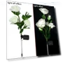 Solar Garden Street Lights — Outdoor Post Lighting, Smart Mouse