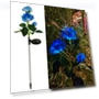 Outdoor Solar Light with 3 LEDs — Garden Illumination, Smart Mouse