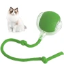 Interactive Rolling Ball Pet Toy — Automatic Cat Toy, Appreciate