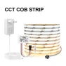 Replaceable CCT COB LED Strip — LED Strip Lights, Rybakov Home Lighting