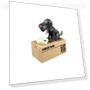 Robotic Money Box for Dogs — Savings & Piggy Banks, Worry free storage