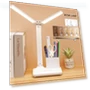 LED Desk Lamp with Dual Head and Holder — Study & Desk Lighting, DC-Home-2