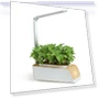 Smart Garden Pot — Growing Lamps, Happy Home Mall