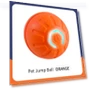 Smart Electric Pet Jump Ball — Interactive Animal Companions, AE Selection