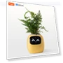 Smart Seedling Pot — Nursery Pots, Build My Home