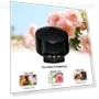 Car Aromatherapy Diffuser — Car Air Fresheners, Auto Launcher