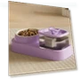 Automatic Pet Water Fountain and Feeder — Fountains, Pawstrip