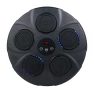 Smart Musical Boxing Trainer with Boxing Gloves — Smart Boxing Trainer, Wosawe outdoor sports