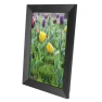 10.1-inch Digital Photo Frame with WiFi and Touchscreen IPS Display, DIYelecs