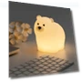 Night Light Lovely Bear — Night Lights, Explorer Outdoors