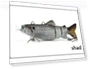 Intelligent Automatic Swimming Lure — Artificial Bait, 16Double8