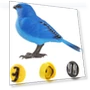 Interactive Bird Toy — Interactive Animal Companions, Hongchuang