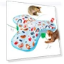Interactive Cat Toy with Feathers — Cat Playthings, Yaouanyuan