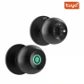 Smart Door Handle with Fingerprint Lock — Locks, The Romantics