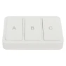 Smart Scene Remote 3 Gang — Remote Controls, DIYelecs