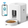 Smart Cat Feeder — Automatic Pet Feeder, Holland Zho