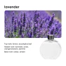 Home Desktop Aromatherapy Diffuser — Diffusers, Super Star Mall