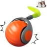 Interactive Ball Toy — Cat Playthings, Mode Closet
