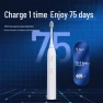 Smart Sonic Electric Toothbrush — Sonic Electric Toothbrushes, Roman