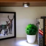 Touch Sensor Light with 3 LEDs — Reading Lights, Global Finds