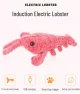 Electric Jumping Lobster Cat Toy — Cat Playthings, AI Supermarket
