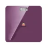 Smart Body Fat Scale — Weight Management Tools, Paul Frank