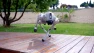 Quadruped Robot — Humanoid Robot, Unitree