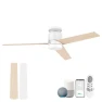 Smart Flush Mount Ceiling Fan with Lights — Ceiling Fans, Lorpies