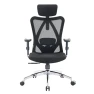 Ergonomic Office Chair — Smart Chairs, SIHOO
