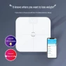 Smart Body Fat Scale — Smart Scale, YunKangbao