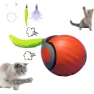 Automatic Intelligent Interactive Cat Toy — Automatic Cat Toy, 2XFCGBH