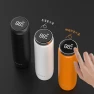 Smart Display Thermos Cup — Smart Water Bottle, Hongpa