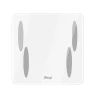 Smart Body Fat Scale — Smart Scale, Beiya