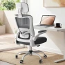 Ergonomic Mesh Desk Chair with Adjustable Lumbar Support and Headrest — Smart Chairs, Zeonsit