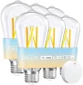 Smart Edison Light Bulbs (4-Pack) — Smart Light Bulb, OREiN
