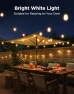 LED Outdoor String Lights 48ft — LED Strip Lights, Govee