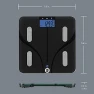 Smart Scale for Body Weight — Smart Scale, Conair