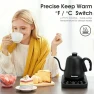 Gooseneck Electric Kettle with ±1°F Temperature Control — Electric Kettle, Visit the REXYHOME Store
