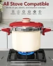 Stainless Steel Pressure Cooker — Multicooker, MICHELANGELO