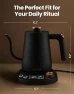 Electric Gooseneck Kettle with Precise Temperature Control — Electric Kettle, Vianté