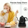 Gooseneck Electric Kettle — Electric Kettle, REXYHOME