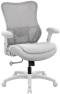 Big and Tall Ergonomic Mesh Desk Chair — Smart Chairs, WITTLONG