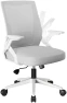 Office Chair with Flip-up Armrests, Ergonomic Computer Desk Chair with Adaptive Lumbar Support & Breathable Mesh — Smart Chairs, COMHOMA