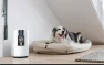 Air Purifier For Home Pets — Air Purifier, Shark