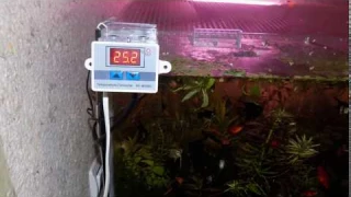 Термостат XH-W3001 с нагревателем воды в аквариуме