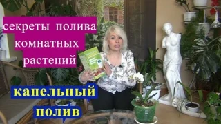 ☝Секреты полива комнатных растений. Капельный полив. ☝