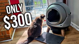 How Good is a $300 Self-Cleaning Cat Litter Box? ZHMZ G1 Review