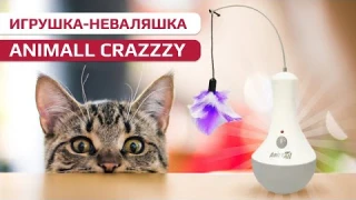 Игрушка-неваляшка AnimAll CrazZzy для кота