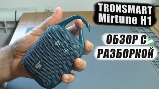 Портативная колонка Tronsmart Mirtune H1 | ОБЗОР С РАЗБОРКОЙ